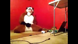 144 furry gay porn videos